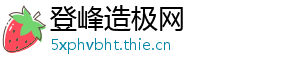 登峰造极网